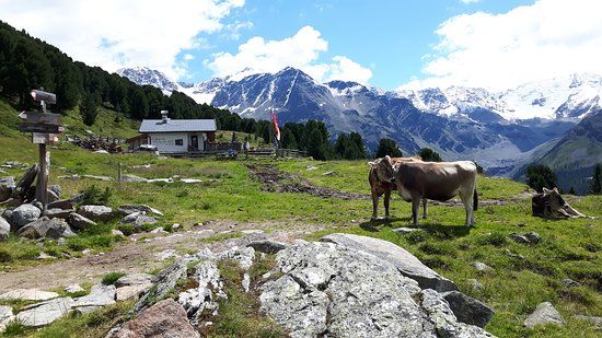 Malga dei Vitelli